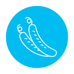 Cucumber line icon.