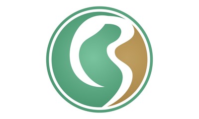 Letter B Modern Logo