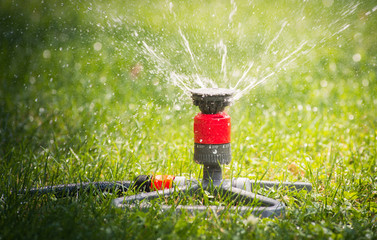 Sprinkler head spraying water
