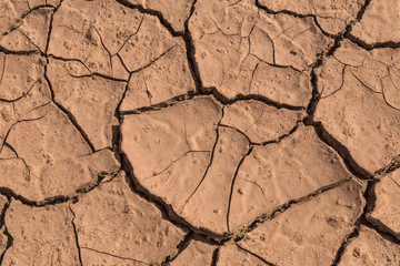 Dry Red Cracked Mud
