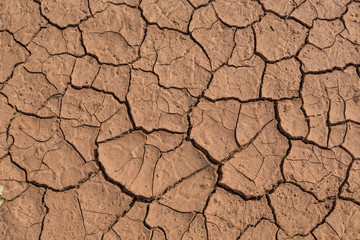 Dry Red Cracked Mud