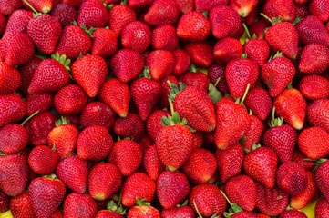 Fresh Strawberries