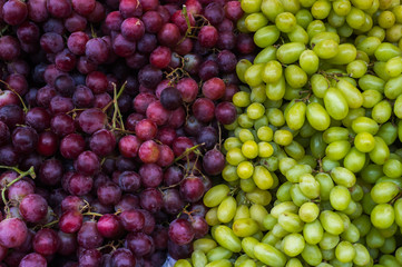 Grapes two-kinds
