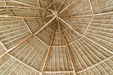 Apple Mango wooden roof