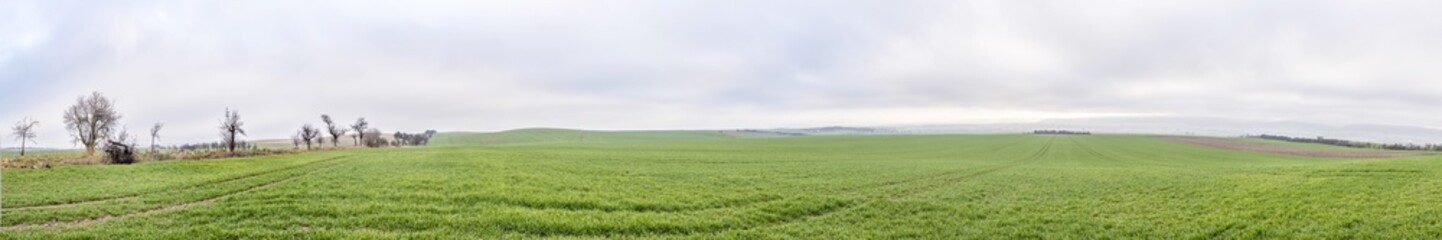 Fototapeta na wymiar rural area with fields