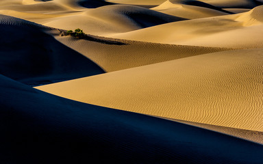 Fototapeta na wymiar dune shadow patterns