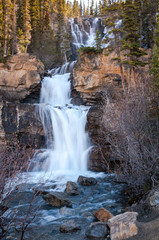 Fototapeta na wymiar Tangle Falls