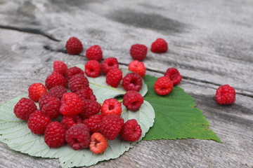 Scattering of the fresh-picked forest raspberries (Rubus idaeus) lying on the raspberry leaves
