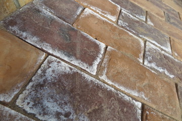 Efflorescence on the modern concrete parking tiles