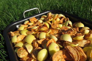Sliced apples drying on a baking tray on the lawn in the summer garden