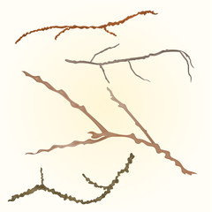 Sprigs- twig tree various branch vecto