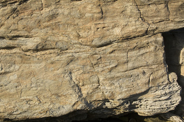 Detail of giant boulder along the Connecticut coast on Long Island Sound.