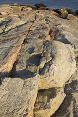 Cracks in grantite rock along the coast of Connecticut, vertical