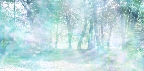 Papier Peint photo Bleu clair Magical Spiritual Woodland Energy Background - Misty pastel blue green colored woodland scene with random streams of gentle sparkling light