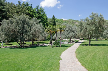 Park in Partenit