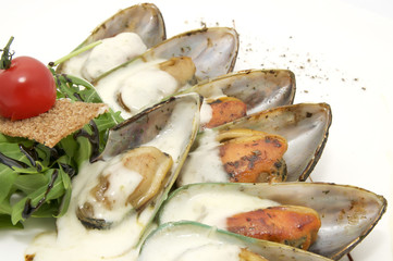 mussels with sauce and greens on a white background