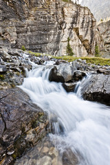 Fototapeta na wymiar fast flowing creek in rocky mountains of canada