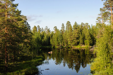 Fototapeta na wymiar Small forest lake in Karelia