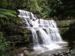 Obraz premium Liffy Falls, Tasmania 