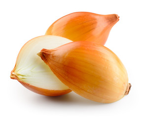 Fresh onion bulbs isolated. with clipping path. - obrazy, fototapety, plakaty