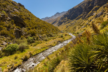 mountain valley and creek