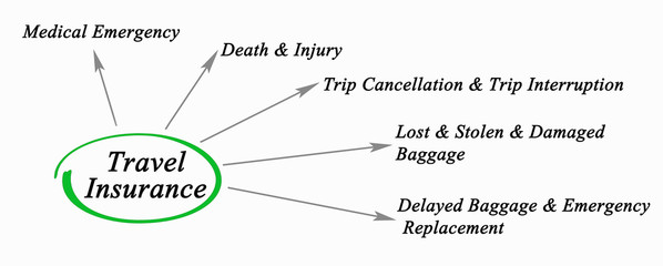 Diagram of Travel Insurance