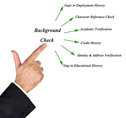 Diagram of Background Check