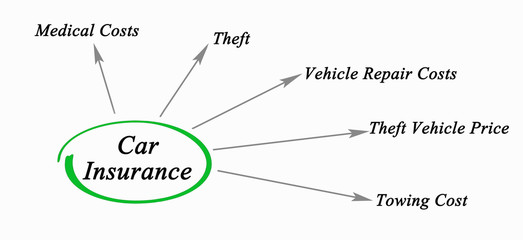 Obraz premium Diagram of Car Insurance