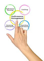 Diagram of Performance Management