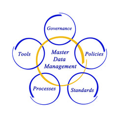 Master Data Management