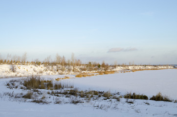 Извилистый берег