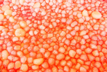 Red texture dot.