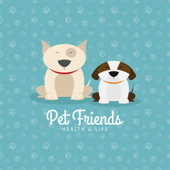 Pet shop background