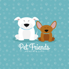 Pet shop background