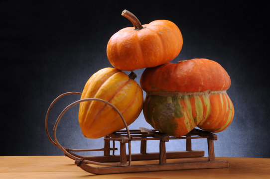Cucurbita Pampoen कुम्हड़ा S&uuml;tőt&ouml;k Ab&oacute;bora Chitroule Zucca Тыква плод Jerimum カボチャ 호박 南瓜 Calabaza Pompoen Pumpkin  ฟักทองอเมริกัน דלעת