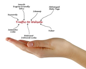 Traffic to Website