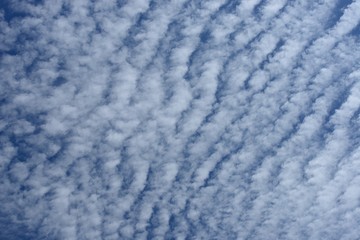 Obraz premium Cirrocumulus Cloud 