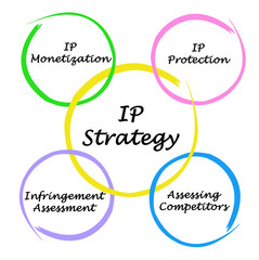 Fototapeta premium Diagram of IP strategies