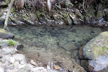 The clear water