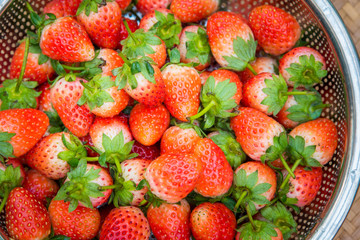 Fresh Strawberries with bright red berries in the stainless steel basket on a wood weave background