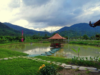 Fototapeta premium пруд с беседкой 