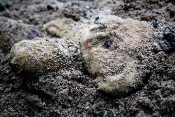 Abandoned teddy bear toy buried in the dirt