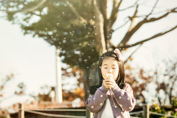 Asia, the child blowing a dandelion in a park.