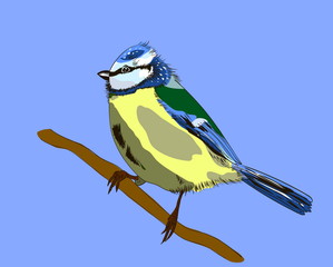 illustration bird blue tit on a branch