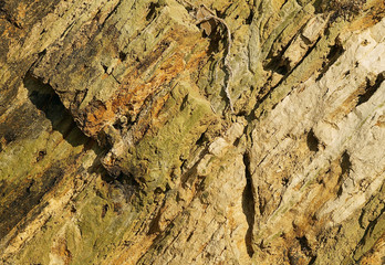 Detail of yellow rock