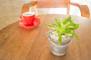 Red cup of coffee and green plant bucket on wooden table