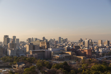 Fototapeta na wymiar Osaka skyline from castle