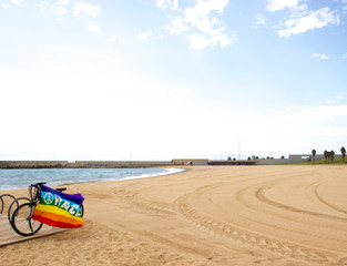 Gay and lesbian community flag on bicycle near the sea