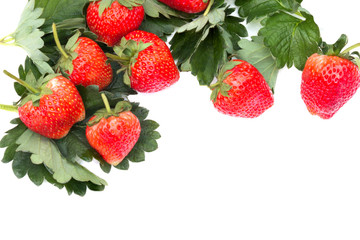 Fresh Strawberries with leaf isolated on white background.