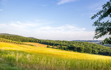 Fototapeta premium Tuscan landscape